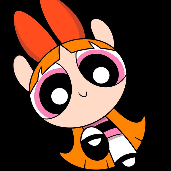 Meet your Posher, Jojo - Picture 1 of 1